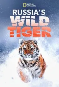 ببر وحشی روسیه (Russia's Wild Tiger)