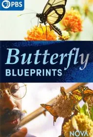 نقشه‌های پروانه (Butterfly Blueprints)
