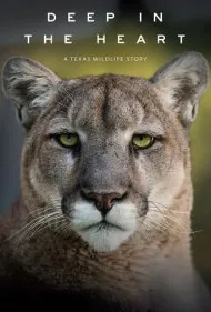 در اعماق قلب: داستان حیات وحش تگزاس (Deep in the Heart: A Texas Wildlife Story)