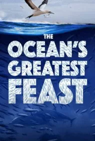 بزرگ‌ترین ضیافت اقیانوس (The Ocean’s Greatest Feast)