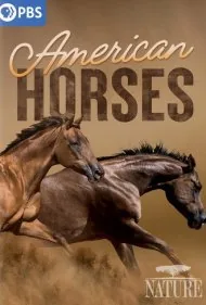 اسب‌های آمریکایی (American Horses)