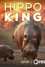 پادشاه اسب‌آبی (Hippo King)