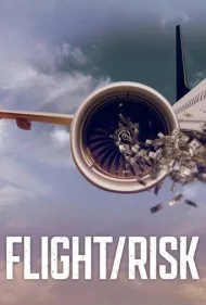 پرواز/ریسک (Flight/Risk)