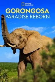گورونگوسا: تولد دوباره بهشت (Gorongosa: Paradise Reborn)