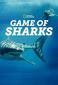 بازی کوسه‌ها (Game of Sharks)