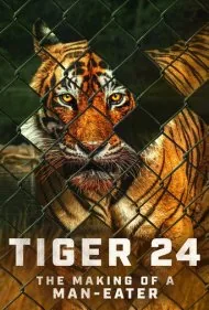 ببر ۲۴ (Tiger 24)