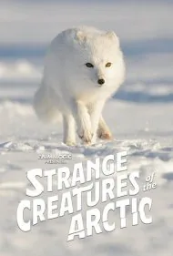 موجودات عجیب قطب شمال (Strange Creatures of the Arctic)