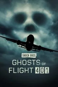 ارواح پرواز ۴۰۱ (Ghosts of Flight 401)