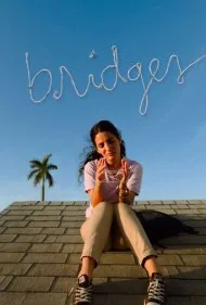 پل ها (Bridges)