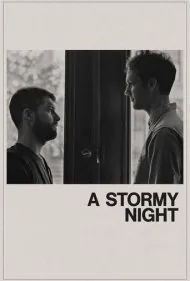 یک شب طوفانی (A Stormy Night)