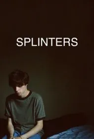 خرده چوب ها (Splinters)