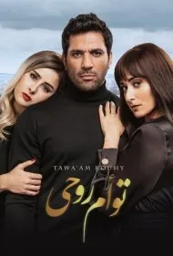 نیمه گمشده (Soul Mate)