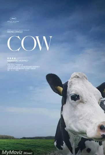 گاو (Cow)