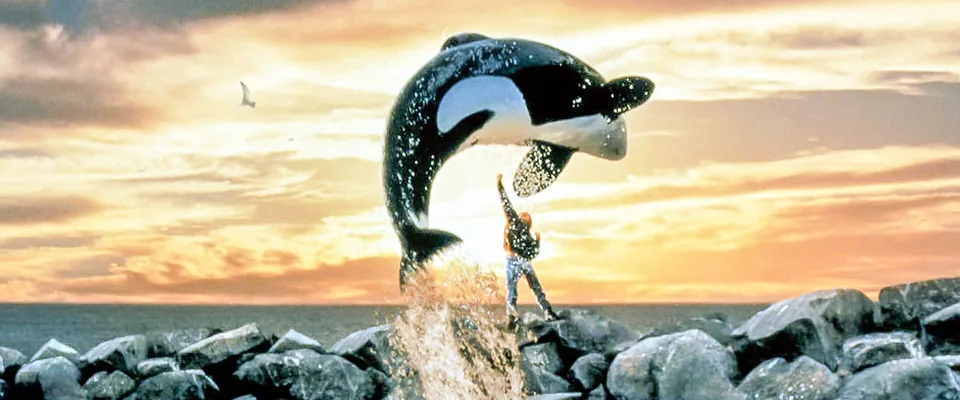 ویلی آزاد (Free Willy)