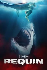 رکوین (The Requin)