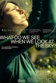 وقتی به آسمان نگاه می کنیم چه می بینیم؟ (What Do We See When We Look at the Sky?)