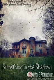 چیزی در سایه‌ها (Something in the Shadows)