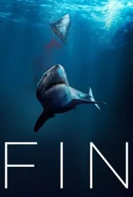 باله (Fin)