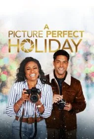 یک تعطیلات بی‌نقص (A Picture Perfect Holiday)