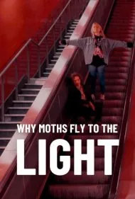 چرا پروانه ها به سوی نور پرواز می کنند؟ (Why Moths Fly to the Light?)