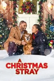 سگ ولگرد کریسمس (A Christmas Stray)