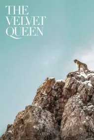 ملکه مخمل (The Velvet Queen)