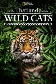گربه‌سانان وحشی تایلند (Thailand's Wild Cats)