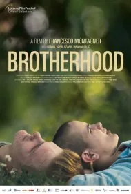 برادری (Brotherhood)