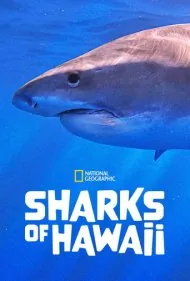 کوسه‌های هاوایی (Sharks of Hawaii)