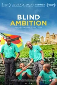 جاه‌طلبی کورکورانه (Blind Ambition)