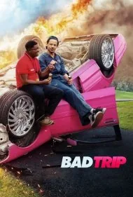 سفر بد (Bad Trip)