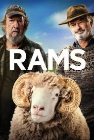 قوچ ها (Rams)