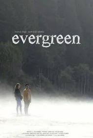 همیشه سبز (Evergreen)
