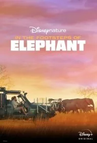 همگام با فیل ها (In the Footsteps of Elephant)