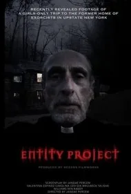 پروژه موجود ماورایی (Entity Project)