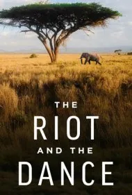 آشوب و رقص (The Riot and the Dance)