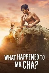 چه بر سر آقای چا اومد؟ (What Happened to Mr Cha?)