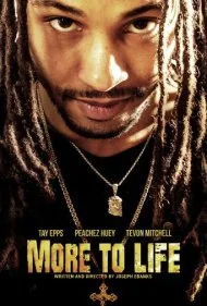چیزی فراتر از زندگی (More to Life)