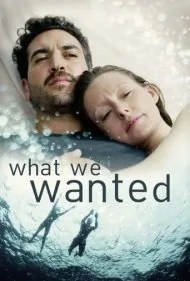 آنچه ما می خواستیم (What We Wanted)