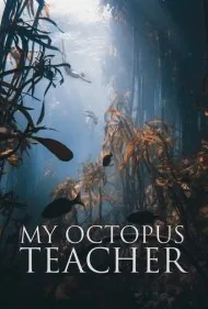 معلم اختاپوس من (My Octopus Teacher)