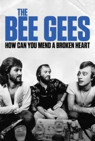 بی‌جیز: چگونه می‌توانی یک قلب شکسته را درمان کنی (The Bee Gees: How Can You Mend a Broken Heart)