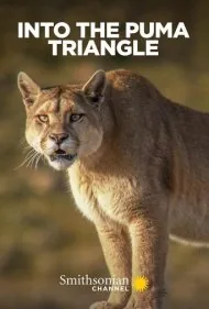 در مثلث پوما (Into the Puma Triangle)