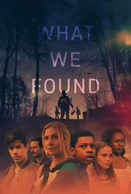 آنچه یافتیم (What We Found)