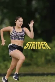 استرایدر (Strider)