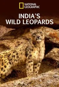 پلنگ‌های وحشی هند (India's Wild Leopards)
