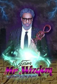 آقای ویزدام مرموز (The Mysterious Mr. Wizdom)