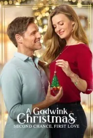 کریسمس گادوینک: شانس دوباره، عشق اول (A Godwink Christmas: Second Chance, First Love)