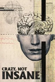 دیوانه، نه مجنون (Crazy, Not Insane)