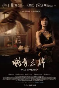 گنجشک وحشی (Wild Sparrow)