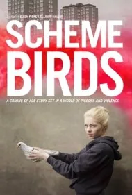 پرنده‌های نقشه کش (Scheme Birds)